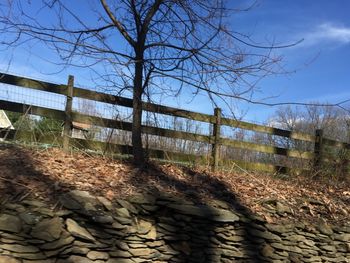 Fence by bare tree against sky