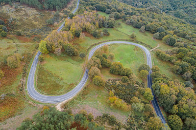 High angle view of road amidst trees in forest