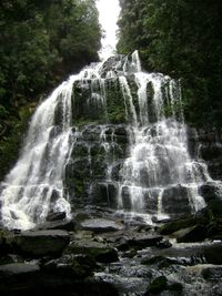 Scenic view of waterfall in forest