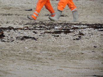 Low section of people walking on beach