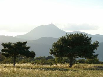 Scenic view of landscape against sky