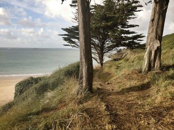 Scenic view of sea against sky