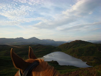 Close-up of brown horse by lake and mountains against sky