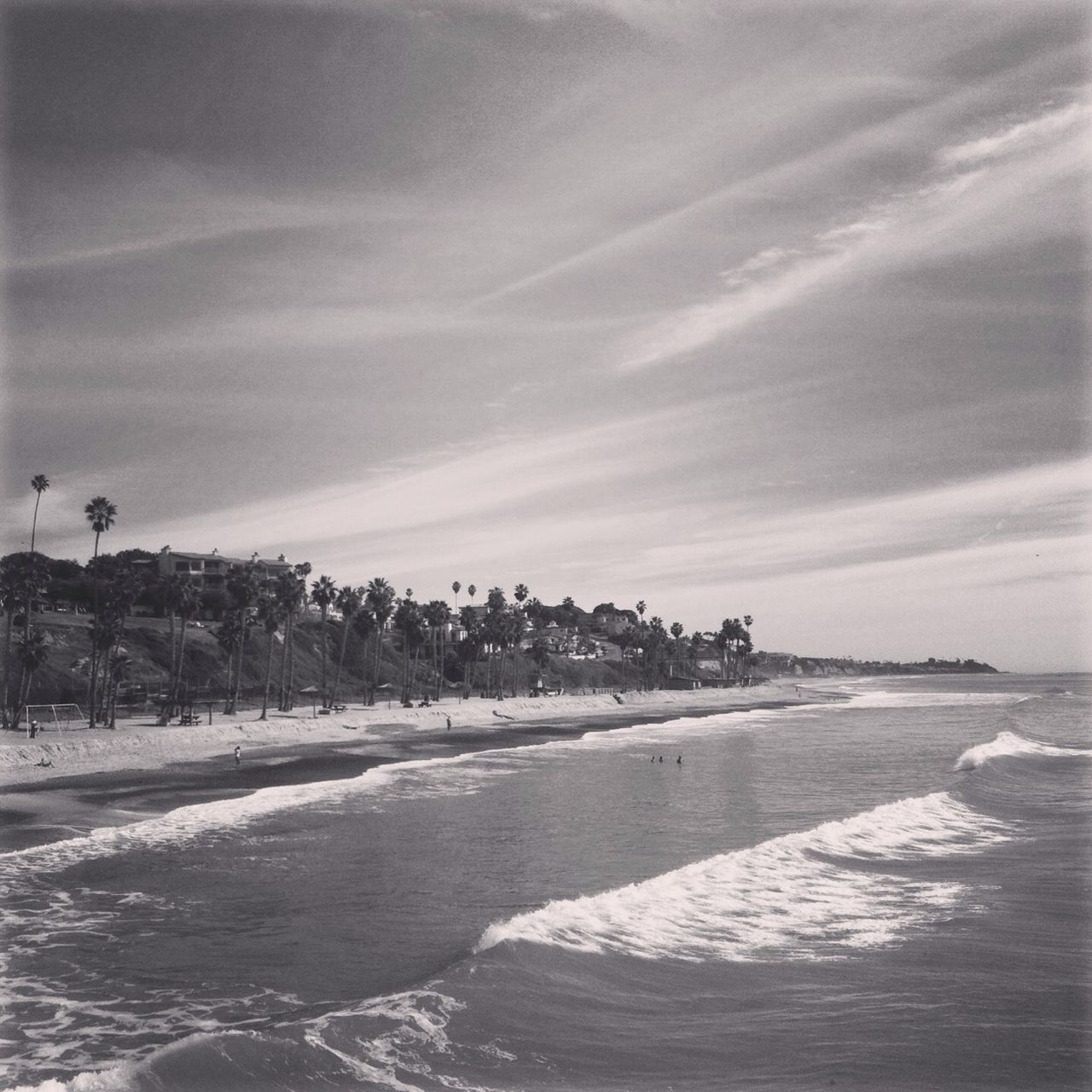 sea, beach, sky, water, horizon over water, tranquil scene, scenics, tranquility, shore, cloud - sky, beauty in nature, nature, sand, flying, cloud, coastline, outdoors, day, cloudy, idyllic