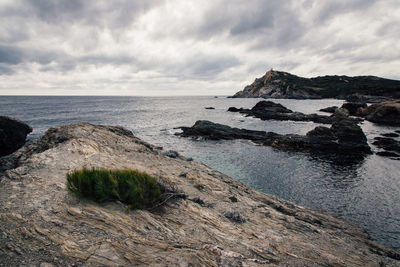 sea