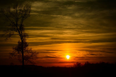 Silhouette bare trees on landscape against orange sky