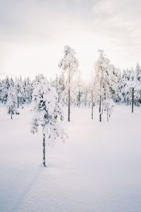 snow