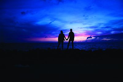 Silhouette birds on shore against sky during sunset