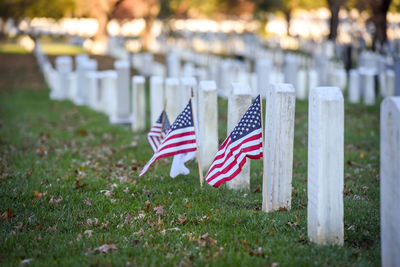 Pink flag on cemetery