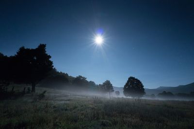 Scenic view of field against clear sky