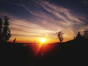 Silhouette trees at sunset