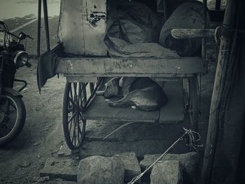 High angle view of abandoned bicycle