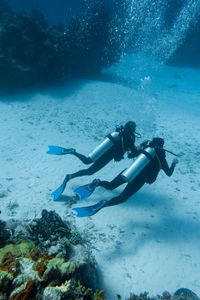 Scuba diving in sea