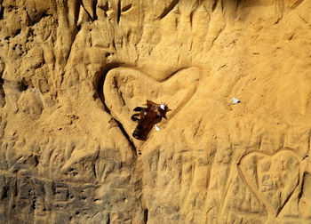 High angle view of people walking on rock