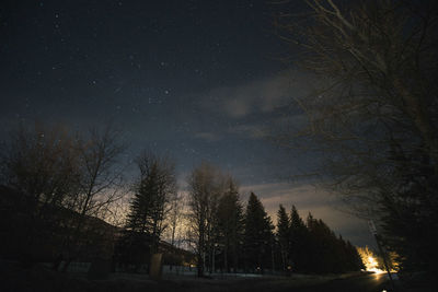 Low angle view of silhouette trees against sky at night