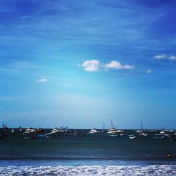 Sailboats moored at harbor against blue sky