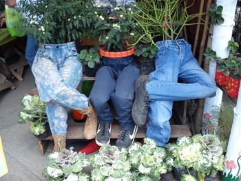 View of men and plants