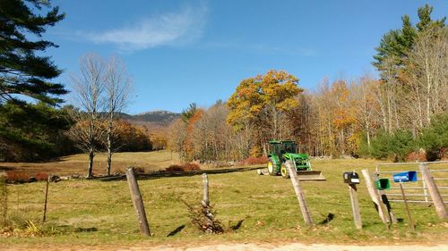 Scenic view of grassy field against sky