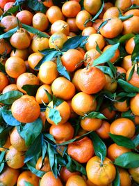 Full frame shot of fruits for sale in market