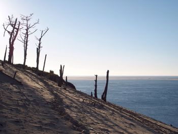 Scenic view of sea against clear sky