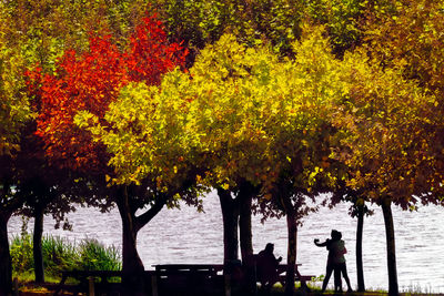 People by trees during autumn
