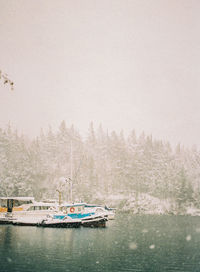 Sailboats in lake against sky