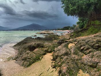 Scenic view of beach against sky