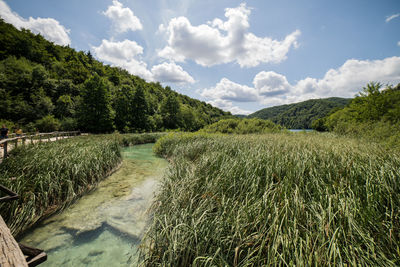 Scenic view of landscape against sky