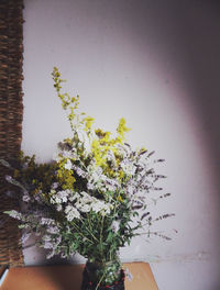 Low angle view of potted plants