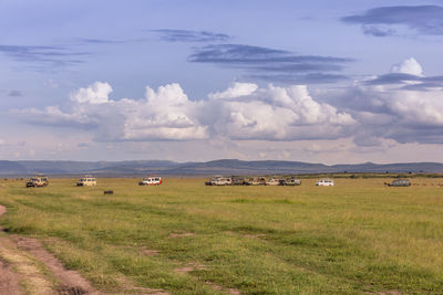 Scenic view of field against sky