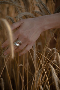 Close-up of human hand