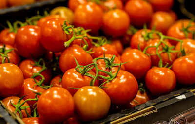 Close-up of tomatoes for sale in market