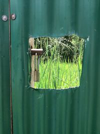 Close-up of old rusty metal door