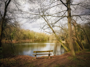 Scenic view of lake against bare trees