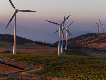 Windmills on rural landscape