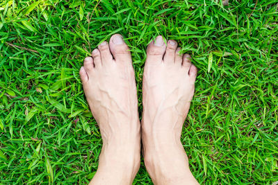 Low section of person standing on grass