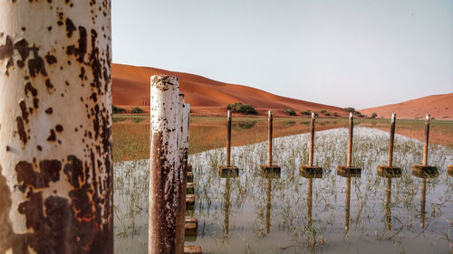 Panoramic view of wooden posts against clear sky