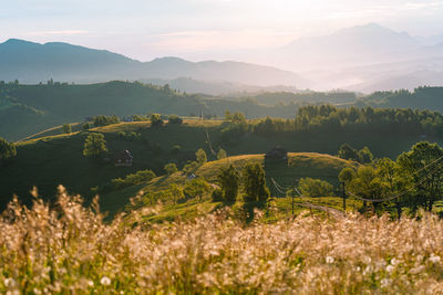 Scenic view of field and hills against mountain and sky in a summer morning