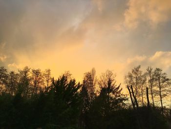 Silhouette trees against sky during sunset
