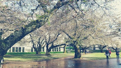 Woman with flowers in park