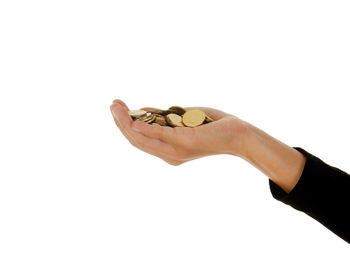 Close-up of hand holding leaf against white background