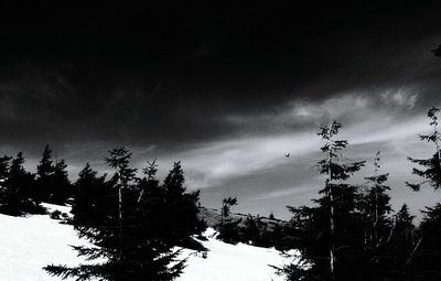 Low angle view of trees against cloudy sky