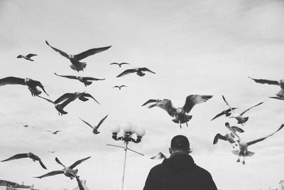 Birds flying over beach against sky