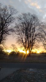 Silhouette bare trees by road against sky during sunset