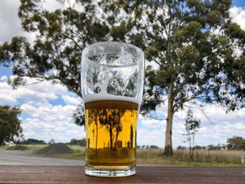 Close-up of beer glass against trees
