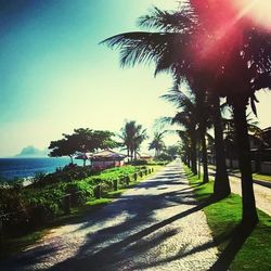 Palm trees by sea against sky