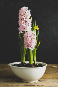 Close-up of flower pot on table