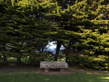 Stone cross in cemetery