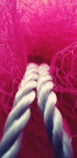 Full frame shot of pink and red leaf