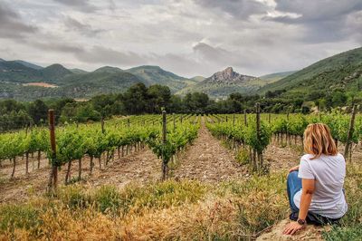 Rear view of woman sitting at vineyard